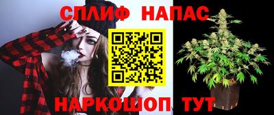 СК Краснодар