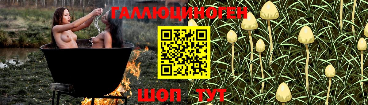 Галлюциногенные грибы MAGIC MUSHROOMS  Вход с VPN  Тольятти  Псилоцибиновые грибы мухоморы 