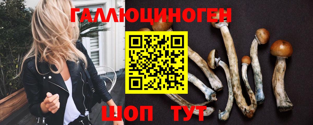Псилоцибиновые грибы Psilocybine cubensis Тольятти